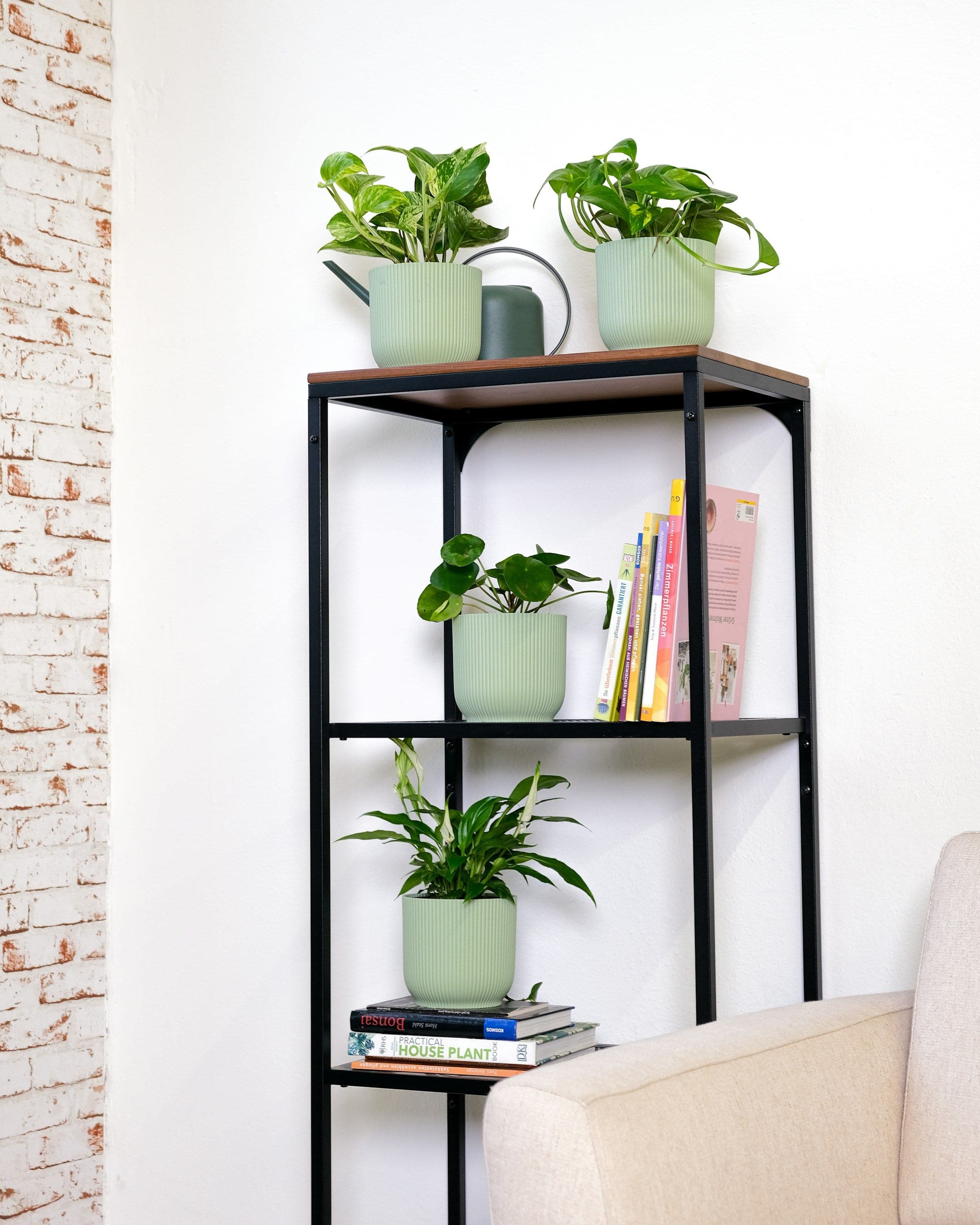 Houseplants arranged on a freestanding black shelf beside a sofa