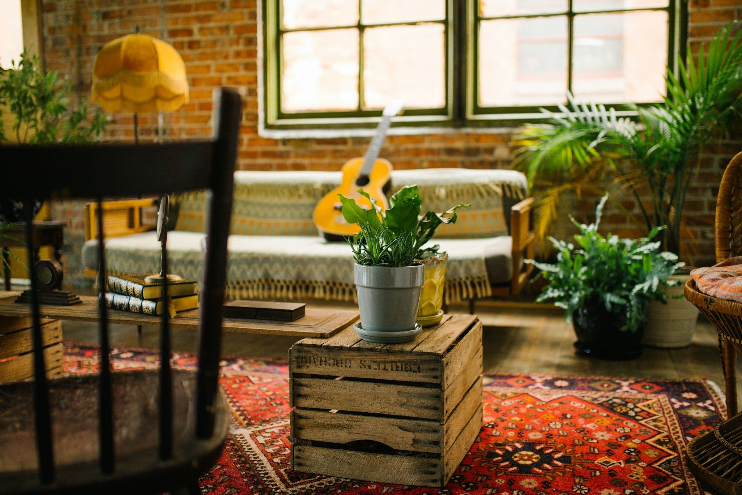 Several potted foliage plants arranged through a warm living room with large windows